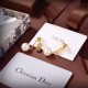Gift to give 2024SS earrings DIOR Dior Gift to give 2024SS earrings DIOR Dior