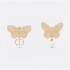This spring's new item 2024SS earrings DIOR that attracts attention