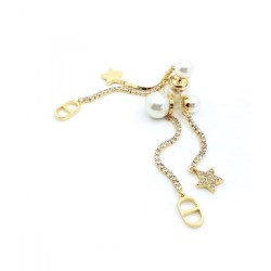 Popular items as soon as possible 2024SS earrings DIOR Dior