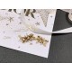 Must-have item new arrival 2024SS earrings DIOR Dior Must-have item new arrival 2024SS earrings DIOR Dior