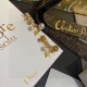 Luxury Brand Super Cheap Special Price 2024SS Earrings DIOR Dior Luxury Brand Super Cheap Special Price 2024SS Earrings DIOR Dior