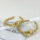 Popular model spring new arrivals 2024SS earrings DIOR Dior Popular model spring new arrivals 2024SS earrings DIOR Dior
