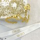 Popular model spring new arrivals 2024SS earrings DIOR Dior Popular model spring new arrivals 2024SS earrings DIOR Dior