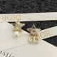 A must-see for fans 2024SS new spring/summer earrings DIOR Dior A must-see for fans 2024SS new spring/summer earrings DIOR Dior
