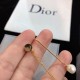 This spring's new item 2024SS earrings DIOR that attracts attention This spring's new item 2024SS earrings DIOR that attracts attention