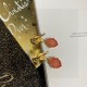 The hottest new spring item 2024SS earrings DIOR Dior The hottest new spring item 2024SS earrings DIOR Dior