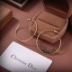 New spring items that are attracting attention 2024SS earrings DIOR Dior New spring items that are attracting attention 2024SS earrings DIOR Dior