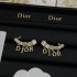 2024SS earrings DIOR that many adults buy
