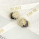 Highly noticeable new 2024SS earrings DIOR Dior Highly noticeable new 2024SS earrings DIOR Dior