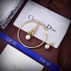 Summery and refreshing impression 2024SS earrings DIOR Dior Summery and refreshing impression 2024SS earrings DIOR Dior