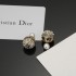 Spring/summer arrival limited sale price 2024SS earrings DIOR Dior