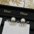 Summer color not available in Japan 2024SS earrings DIOR Dior