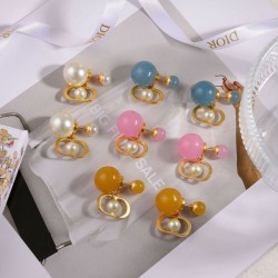 Fashionable people love it! 2024SS Earrings DIOR Dior