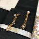 Especially popular this season 2024SS earrings DIOR Dior Especially popular this season 2024SS earrings DIOR Dior
