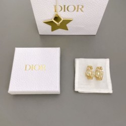 Popular items of interest 2024SS earrings DIOR Dior