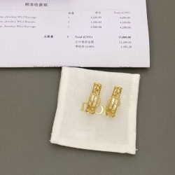 Popular items of interest 2024SS earrings DIOR Dior