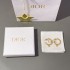 Wonderful new spring/summer 2024SS earrings DIOR Dior