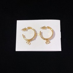 Wonderful new spring/summer 2024SS earrings DIOR Dior