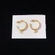 Wonderful new spring/summer 2024SS earrings DIOR Dior Wonderful new spring/summer 2024SS earrings DIOR Dior