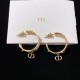 Wonderful new spring/summer 2024SS earrings DIOR Dior Wonderful new spring/summer 2024SS earrings DIOR Dior