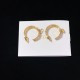 Wonderful new spring/summer 2024SS earrings DIOR Dior Wonderful new spring/summer 2024SS earrings DIOR Dior