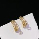 Wonderful new spring/summer 2024SS earrings DIOR Dior Wonderful new spring/summer 2024SS earrings DIOR Dior