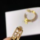 Wonderful new spring/summer 2024SS earrings DIOR Dior Wonderful new spring/summer 2024SS earrings DIOR Dior