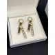 2024SS DIOR Dior earrings continue to be a brand this season