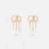 2024SS DIOR Dior earrings Simple and easy to mix and match