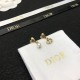 2024SS DIOR Dior earrings A must-have summer item