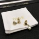 2024SS DIOR Dior earrings A must-have summer item