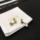 2024SS DIOR Dior earrings A must-have summer item