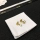 2024SS DIOR Dior earrings A must-have summer item