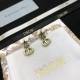 2024SS DIOR Dior earrings New arrivals to improve your fashion level 2024SS DIOR Dior earrings New arrivals to improve your fashion level
