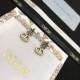 2024SS DIOR Dior earrings New arrivals to improve your fashion level 2024SS DIOR Dior earrings New arrivals to improve your fashion level