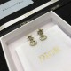 2024SS DIOR Dior earrings New arrivals to improve your fashion level 2024SS DIOR Dior earrings New arrivals to improve your fashion level