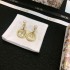 2024SS DIOR Dior earrings New colors in fashion