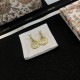 2024SS DIOR Dior earrings New colors in fashion 2024SS DIOR Dior earrings New colors in fashion
