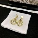 2024SS DIOR Dior earrings New colors in fashion 2024SS DIOR Dior earrings New colors in fashion
