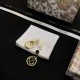 2024SS DIOR Dior earrings New colors in fashion 2024SS DIOR Dior earrings New colors in fashion