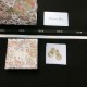 2024SS DIOR Dior earrings New colors in fashion 2024SS DIOR Dior earrings New colors in fashion