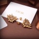 2024SS DIOR Dior earrings New summer must-have brand 2024SS DIOR Dior earrings New summer must-have brand