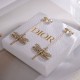 2024SS DIOR Dior earrings Used by highly sensitive celebrities 2024SS DIOR Dior earrings Used by highly sensitive celebrities