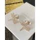 2024SS DIOR Dior earrings The latest brand new products are hot 2024SS DIOR Dior earrings The latest brand new products are hot