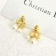DIOR Dior New Summer 2024SS Earrings You Can't Miss DIOR Dior New Summer 2024SS Earrings You Can't Miss
