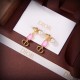 DIOR New statement 2024SS earrings DIOR New statement 2024SS earrings