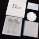 DIOR [Cheap] Luxury Goods Mail Order 2024SS Earrings