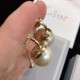 DIOR [Cheap] Luxury Goods Mail Order 2024SS Earrings