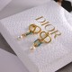 DIOR Dior spring/summer new arrivals 2024SS earrings DIOR Dior spring/summer new arrivals 2024SS earrings