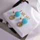 DIOR Dior Spring/Summer Featured Products Carefully Selected 2024SS Earrings DIOR Dior Spring/Summer Featured Products Carefully Selected 2024SS Earrings